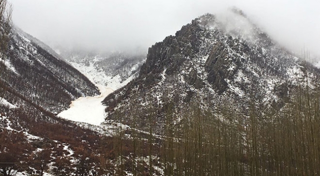 Şırnak Beytüşşebap'ta çığ düştü