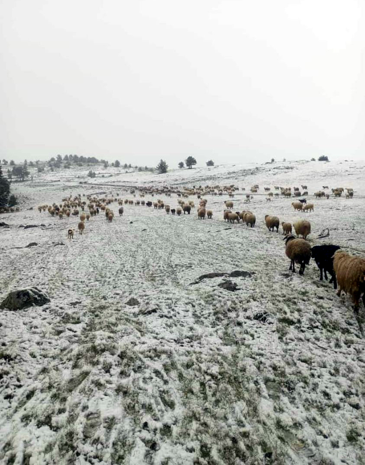 Mayıs'ta kar sürprizi