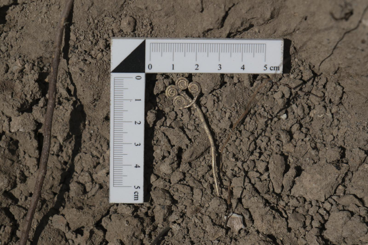 Troya'da 4 bin 500 yıllık altın broş ve ender yeşim taşı gün ışığına çıkarıldı