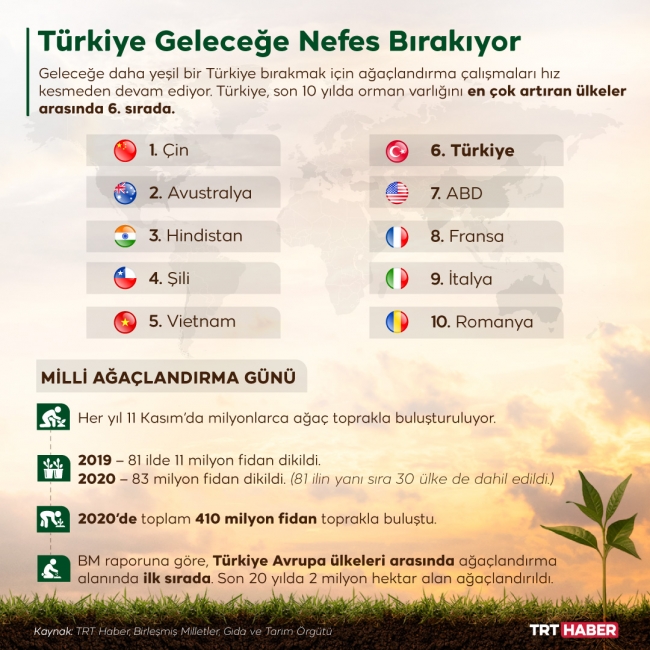 Grafik: Nursel Cobuloğlu