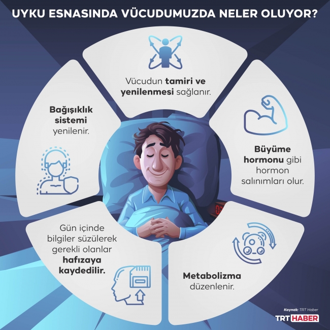 hangi tip uykucusunuz tavuk mu baykus mu son dakika haberleri