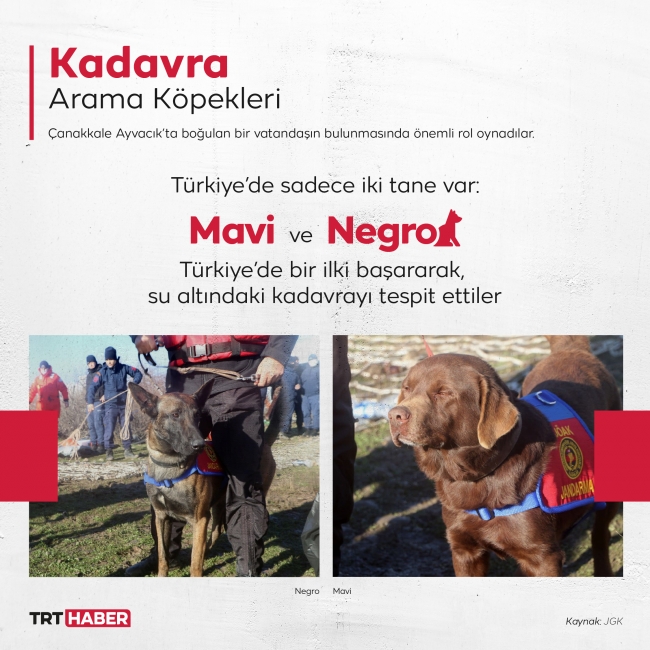 Grafik: TRT Haber / M. Furkan Terzi