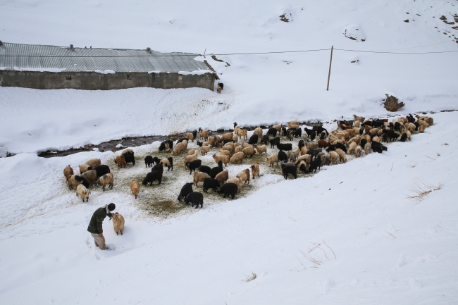 Doğu'da kar ve tipi ulaşımı aksattı