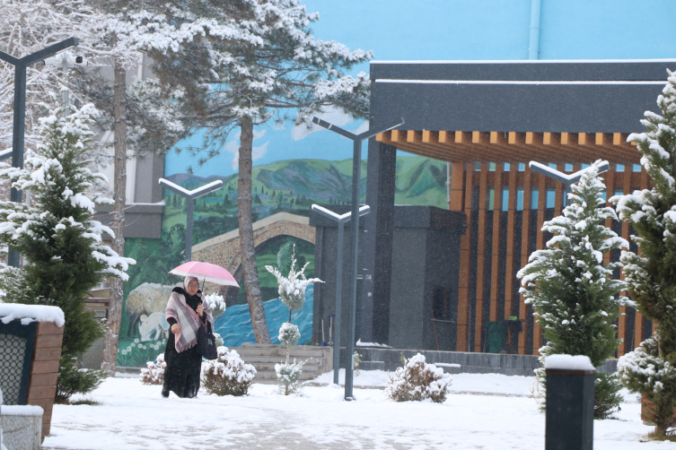 Van'da kar nedeniyle 90 yerleşim yeri ulaşıma kapandı, 2 ilçede okullar tatil