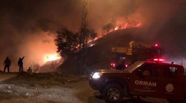 Hatay'da ormanlık alanda yangın