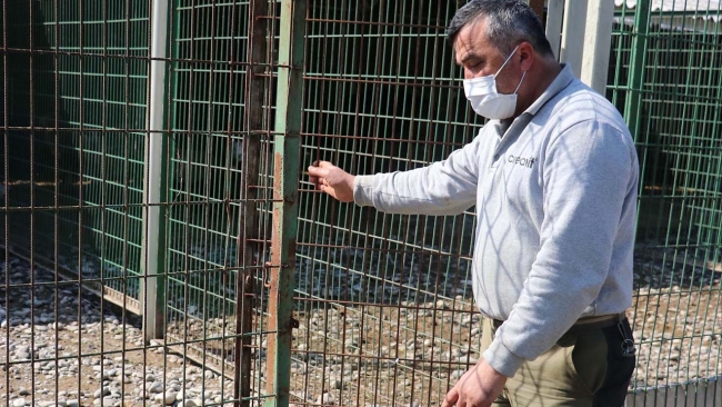 “Bir tane alageyiğimiz vardı, çok üzgünüz”