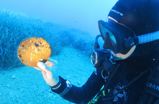 Muğla'nın su altı kültür mirası ortaya çıkıyor