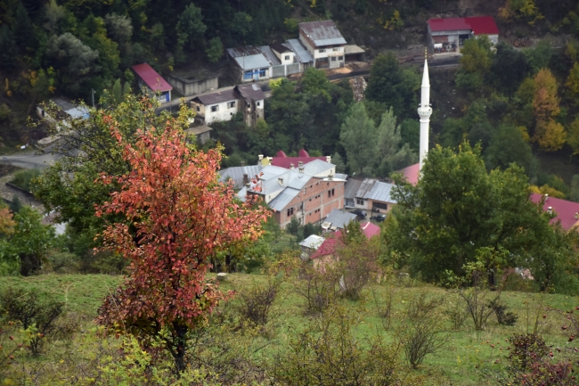 Tarihi İpek Yolu'nda sonbahar
