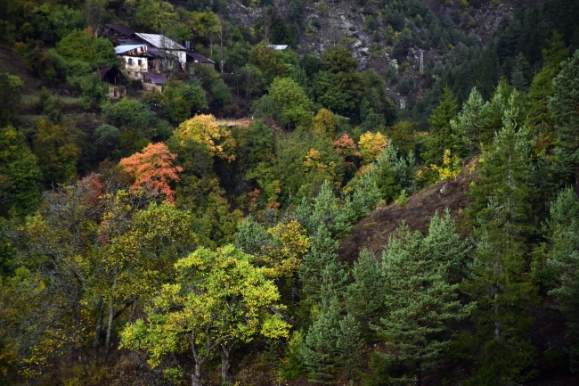 Tarihi İpek Yolu'nda sonbahar