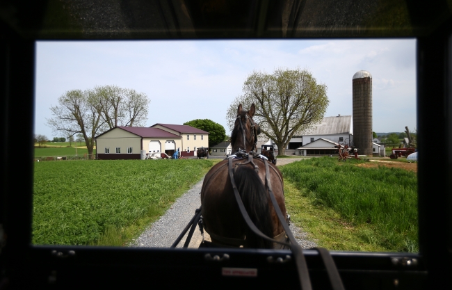 Teknolojiye yüz vermeyen insanlar: Amishler