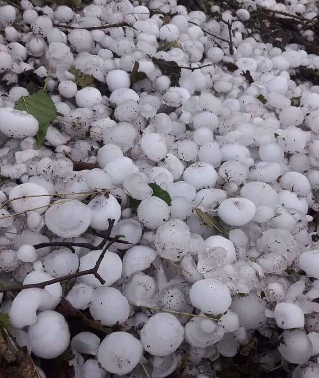Ordu'da ceviz büyüklüğündeki dolu yüzlerce eve zarar verdi