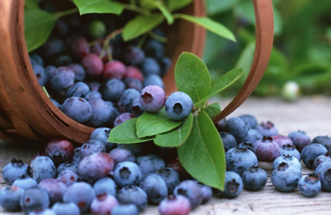 Sağlıklı zayıflatan 25 'süper gıda'