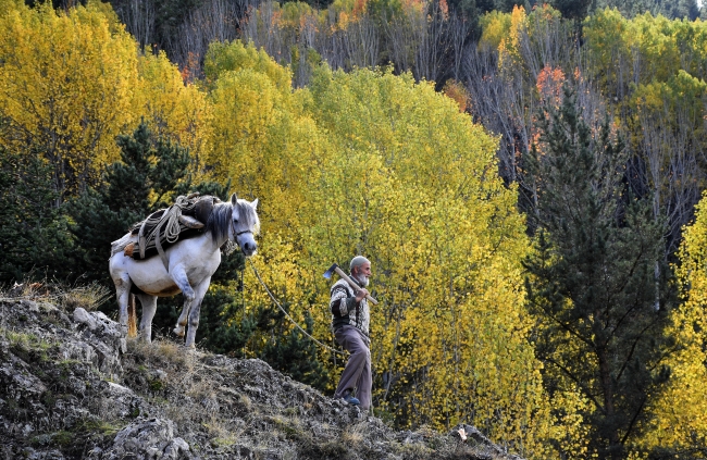 Eşsiz doğasıyla öne çıkan Gümüşhane'de sonbahar renkleri