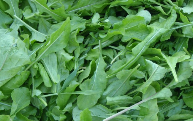 İstediğiniz kadar yiyebileceğiniz 14 yiyecek