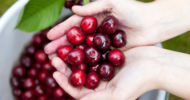 Yatmadan birkaç saat önce kiraz yerseniz...