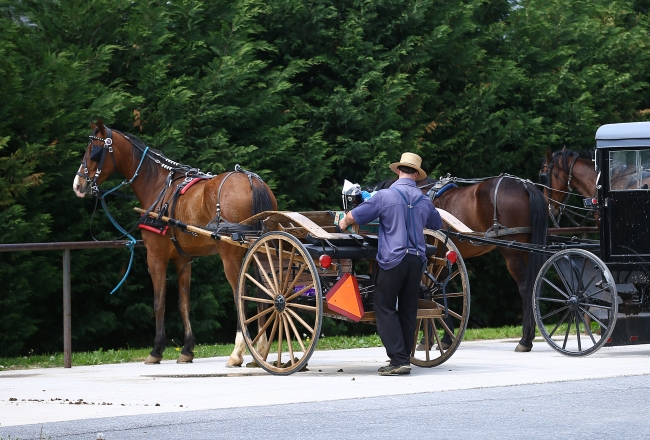 Teknolojiye yüz vermeyen insanlar: Amishler