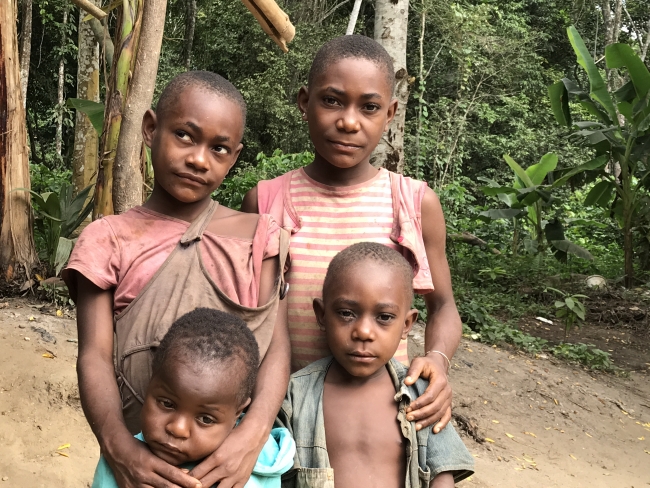 Afrika'nın 5 bin yıllık avcıları: Pigmeler