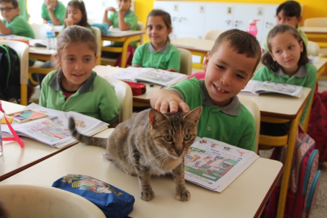 Fotoğraf: TRT Haber