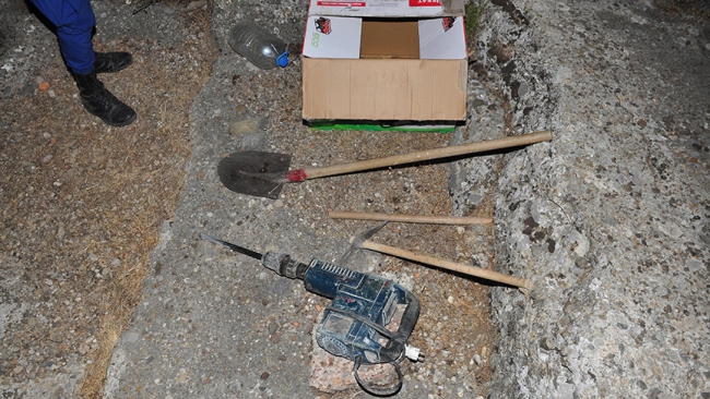 Define ararken ormanı yaktılar