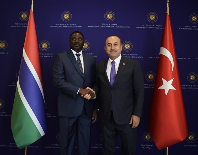 "Türkiye'nin Afrika'da 42 büyükelçiliği var, hedef 50'ye çıkmak"