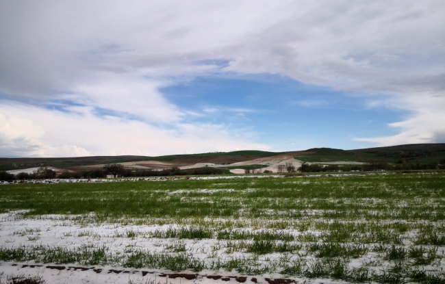 Kırşehir'de tarım arazilerini sağanak ve dolu vurdu