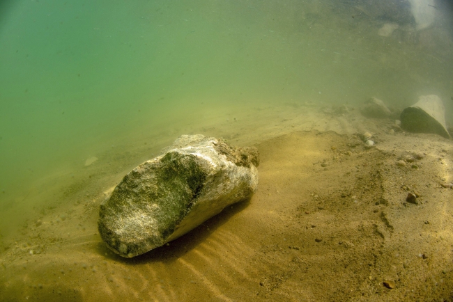 Fillerin atasının fosili Kayseri'de su altında görüntülendi