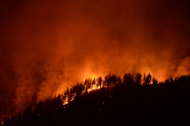Kahramanmaraş'taki orman yangınına müdahale sürüyor