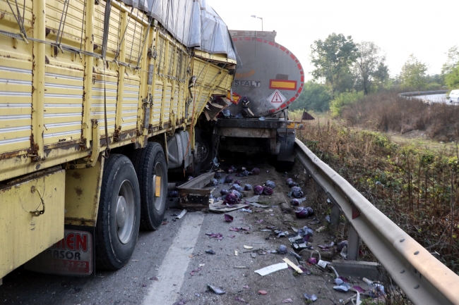 Anadolu Otoyolu'nda kamyon kazası: 1 ölü, 1 yaralı