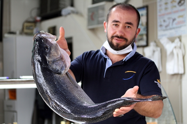 Balıkçıların ağına 15 kilogramlık levrek takıldı