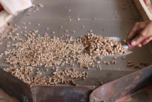 Defne dalından yakıt üretip iç ve dış pazarda satıyor