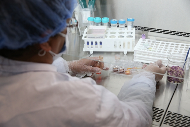 Isparta gülünün posası da ekonomiye kazandırıldı