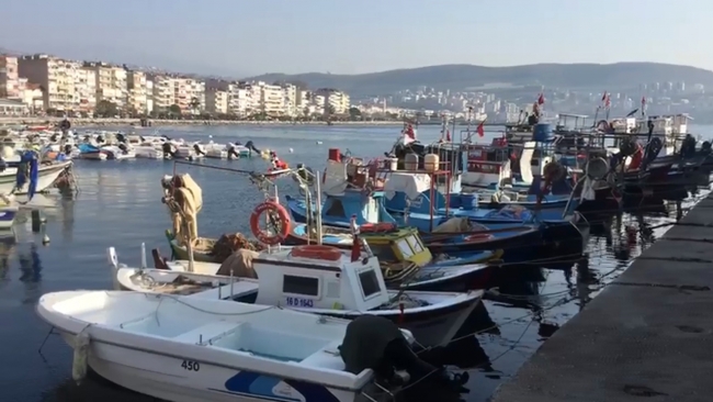 Bursa'da devleti milyonlarca lira zarara uğratan şebeke çökertildi