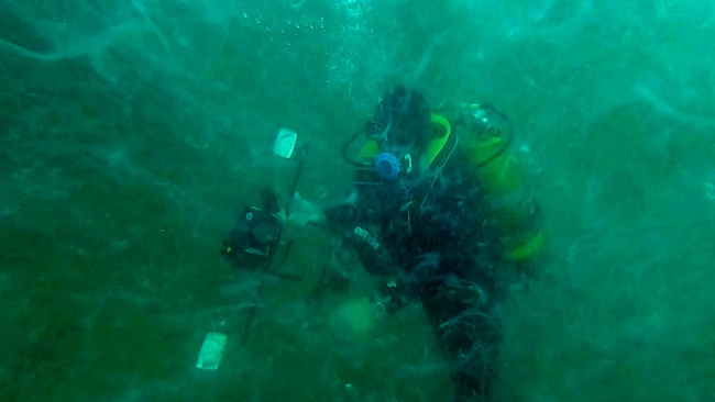 Müsilaj deniz dibine tamamen yayıldı