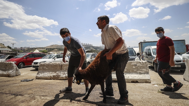 Hayvan pazarlarında kurban satışı sürüyor