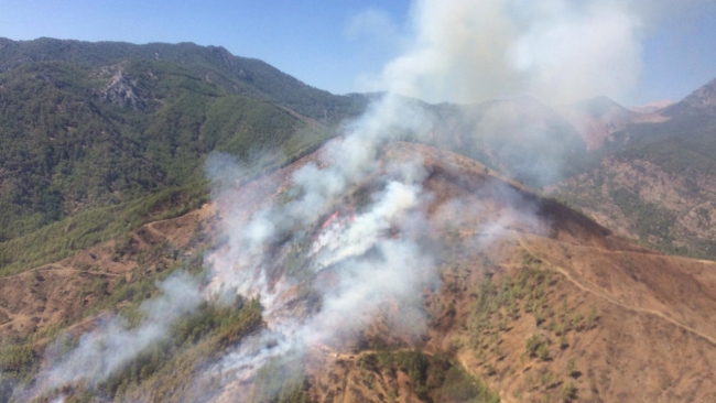 Anamur'da orman yangını
