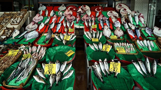 İstanbul'da balık bereketi fiyatlara yansıdı