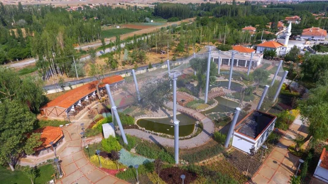 Kırşehir evcil hayvanlar parkı yeni sakinleriyle ilgi görüyor