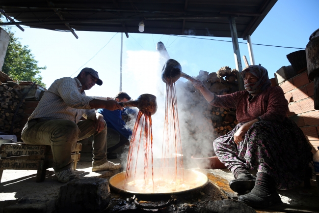 Aydın'da 'razaki üzüm' için hasat zamanı