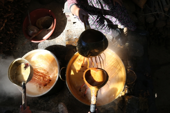 Aydın'da 'razaki üzüm' için hasat zamanı