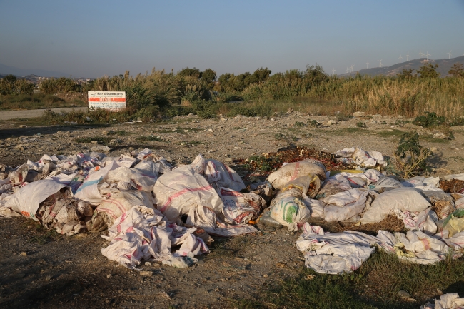Kuş gözlemcilerinden Mileyha Sulak Alanı'nın kirletilmesine tepki
