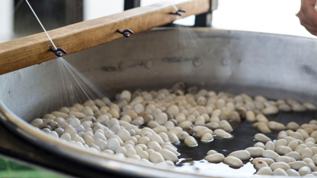 Bursa UNESCO Yaratıcı Şehirler Ağı'na dahil oldu