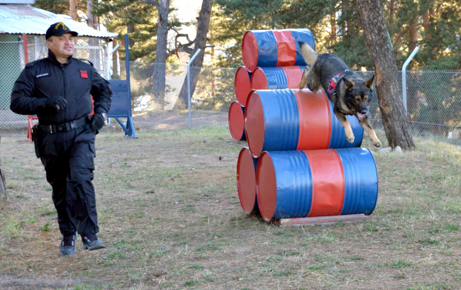Bomba arama köpeği Öfke'nin gösterisi minikleri eğlendirdi
