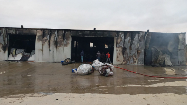 Tekirdağ'da ceviz işleme tesisinde yangın