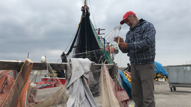 Karadenizli balıkçılar çinekop ve mezgitten umutlu