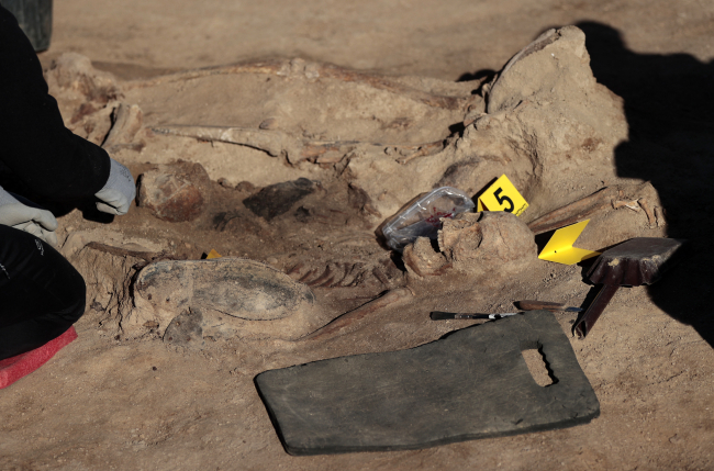 İspanya'da bir toplu mezar 85 yıl sonra açıldı