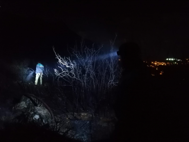 Antalya'da ormanlık alanda çıkan yangın kontrol altında