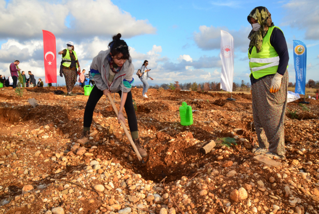 Antalya'da yanan ormanlık alanlara fidan dikildi