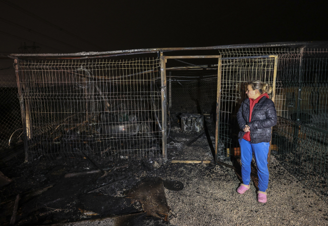Başkentte barınak yangını: 55 köpek son anda kurtarıldı