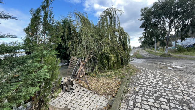 Kastamonu fırtınadan olumsuz etkilendi