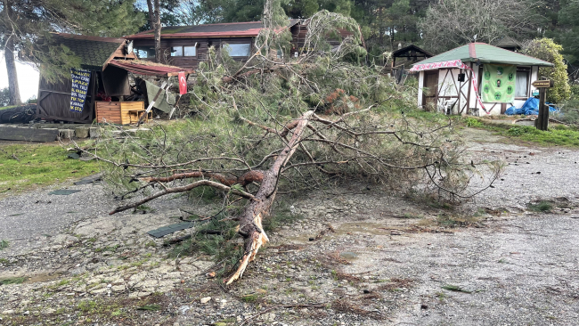 Kastamonu fırtınadan olumsuz etkilendi